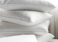 Pownall & Hampson Pillows
